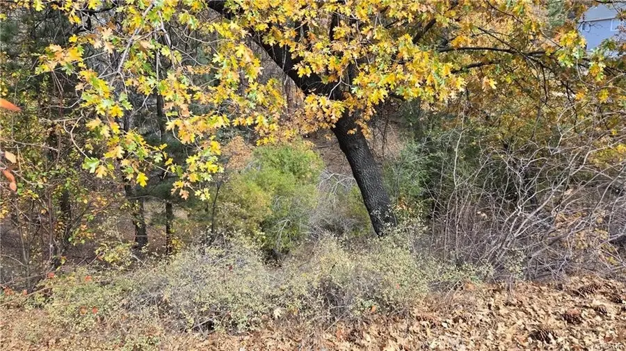 1000 Butte Avenue, Big Bear, CA 92314 - #3