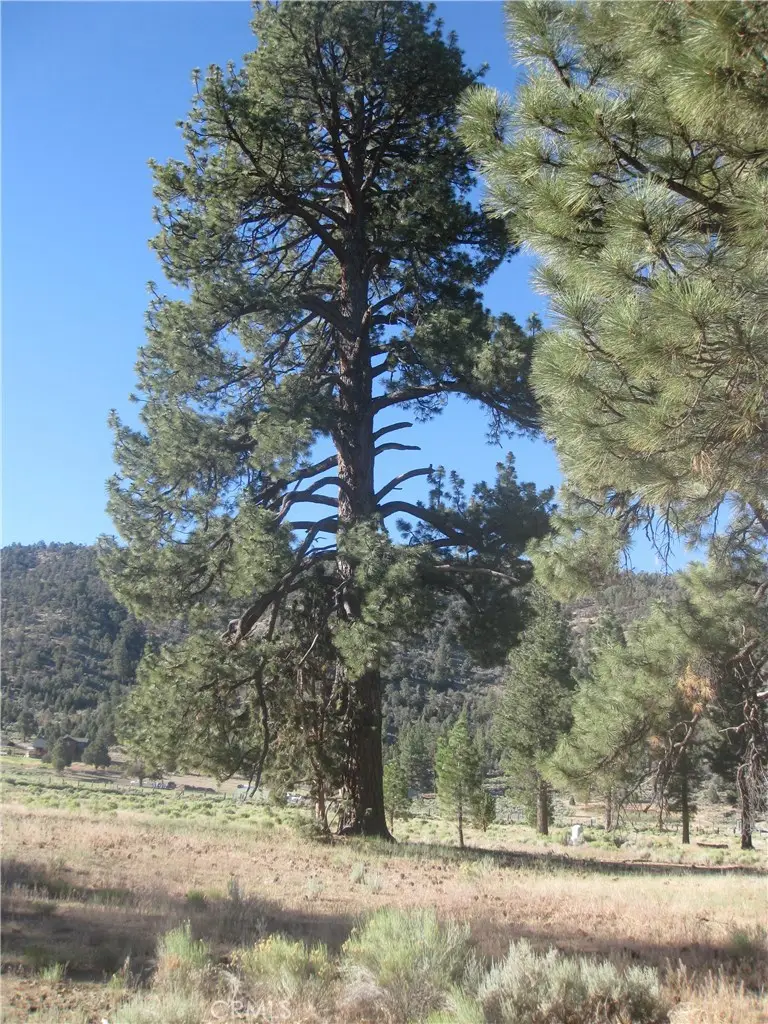 2824 Erwin Ranch Road, Big Bear City, CA 92314 - Image #1