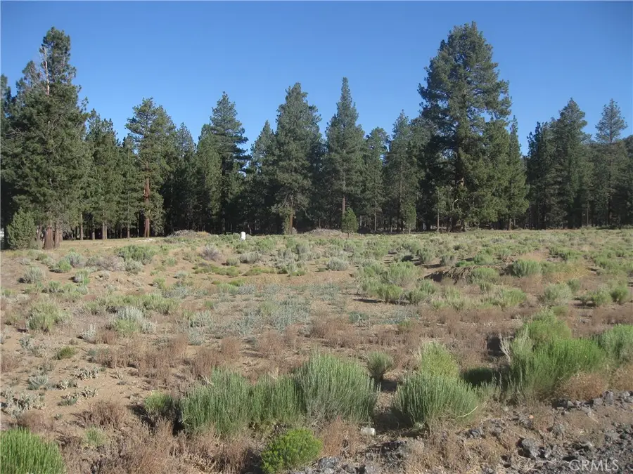 2824 Erwin Ranch Road, Big Bear City, CA 92314 - Image #3