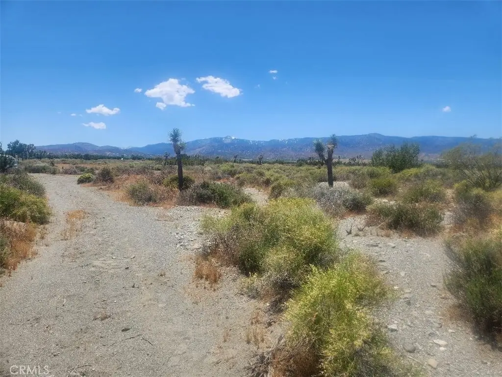 0 Minero Road, Pinon Hills, CA 92372 - #1