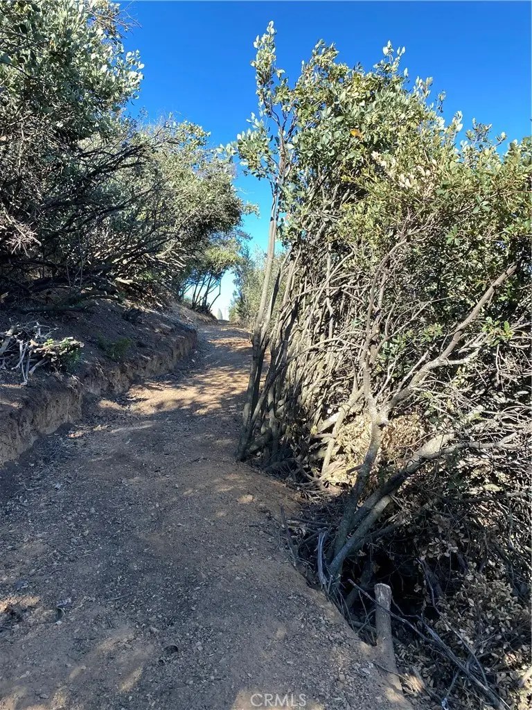 37342 Pisgah Peak Road, Yucaipa, CA 92399 - #3