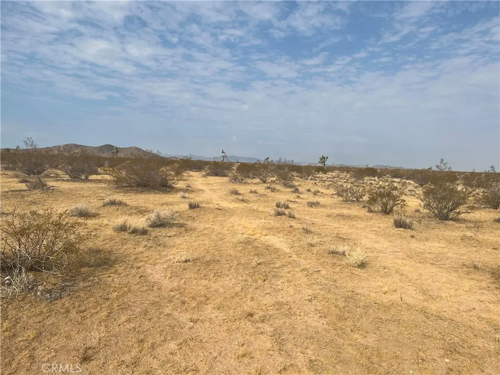 338 Stable Road, Landers, CA 92285 - #1