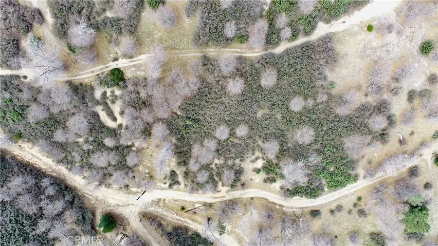 0 Walnut, Cedar Glen, CA 92321 - #3