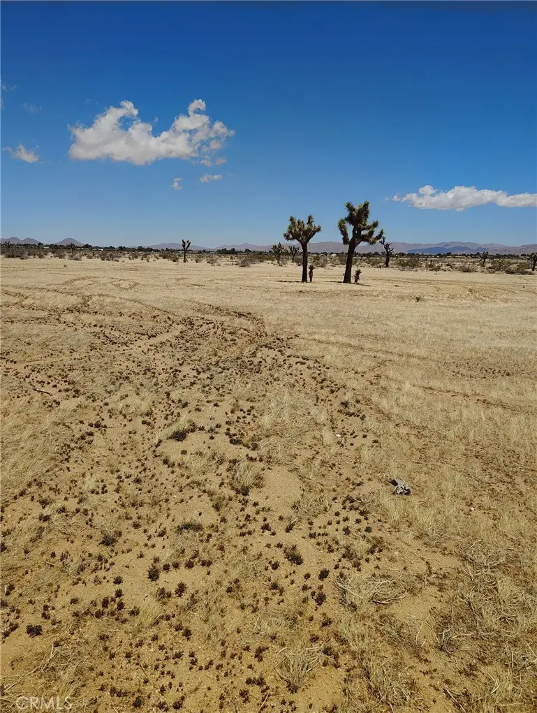 0 Juniper Road, Apple Valley, CA 92308 - #1
