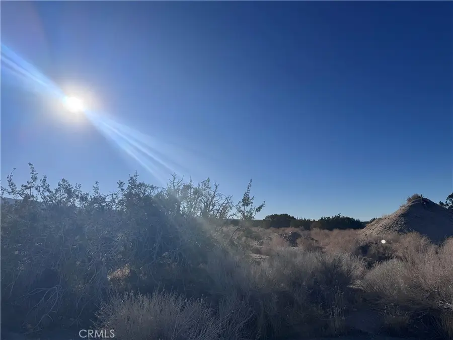 0 Vac/antelope, Llano, CA 93544 - #2