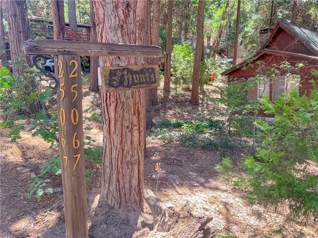 65807 N Boa Drive, Crestline, CA 92325 - #1
