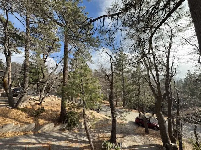 33058 Juniper Lane, Green Valley Lake, CA 92341 - #3