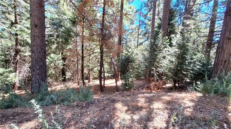 0 Cedar Pines, Cedarpines Park, CA 92322 - #2