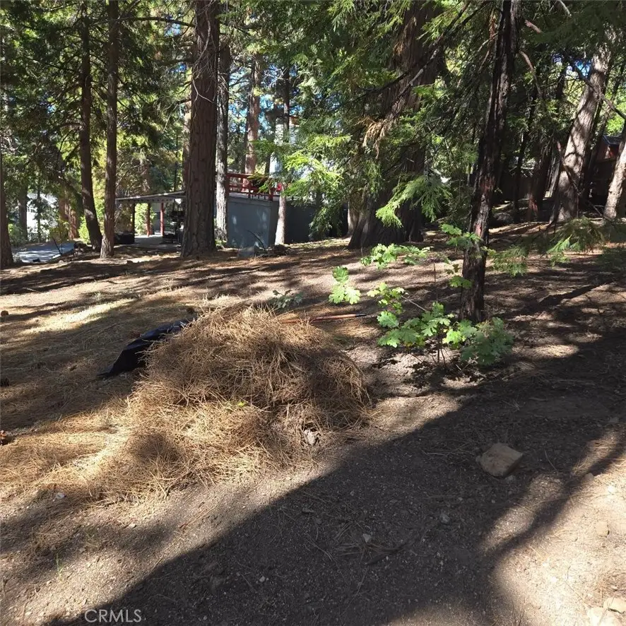 31492 Inspiration, Running Springs, CA 92382 - #1