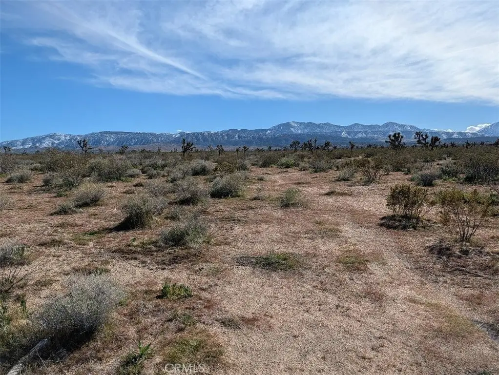 221 Avenue U, Palmdale, CA 93591 - #1