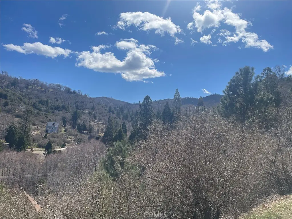 0 Pine Drive, Cedar Glen, CA 92321 - #1