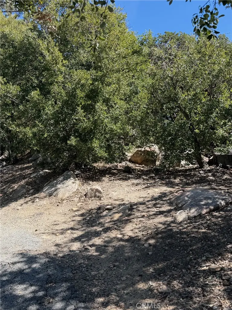 0 Grasshorn Terrace, Lake Arrowhead, CA 92352 - #1