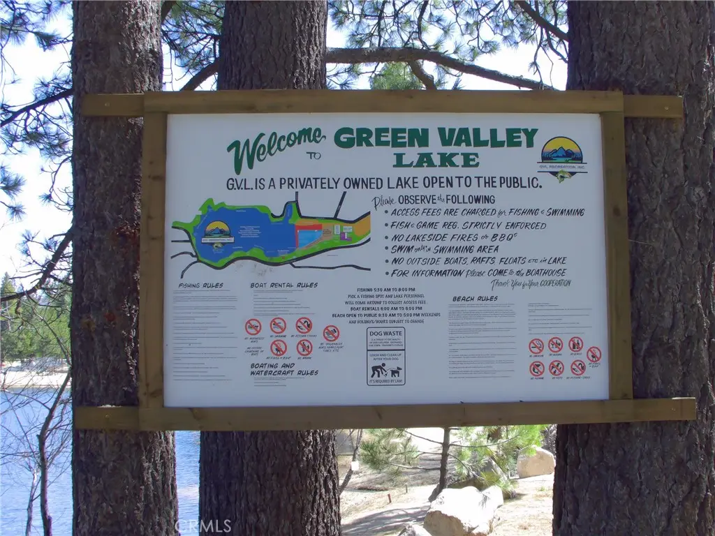 33564 Falling Leaf Dr., Green Valley Lake, CA 92341 - #1