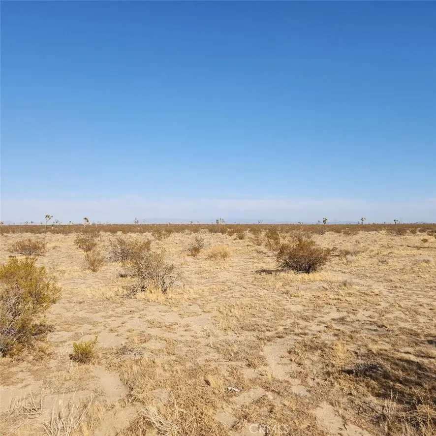 123 Wilson Ranch Road, Phelan, CA 92371 - #1