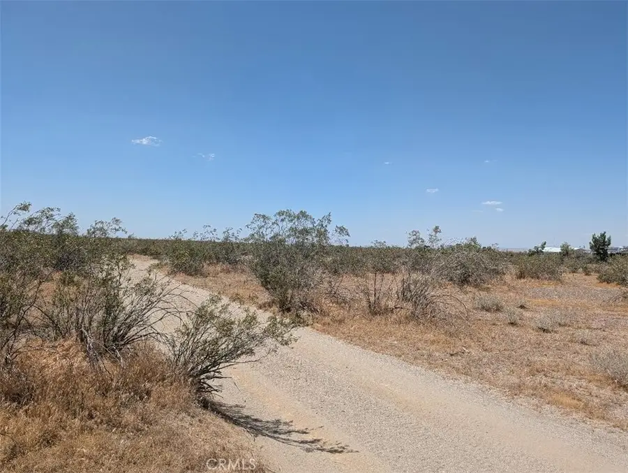 123 Dos Palmas, Pinon Hills, CA 92372 - #3