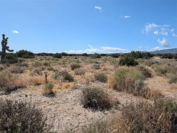 33 Antelope, Llano, CA 93544