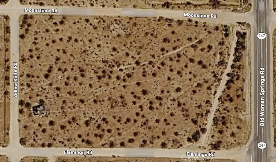 0 Old Woman Springs Road, Landers, CA 92285 - #2