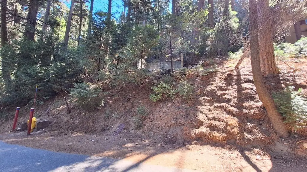 0 Sunderland, Lake Arrowhead, CA 92352 - #1