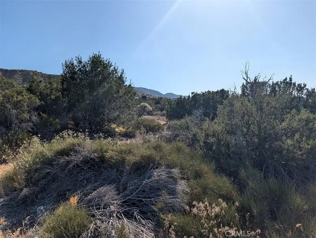 8 Mountain Road, Pinon Hills, CA 92372 - #1