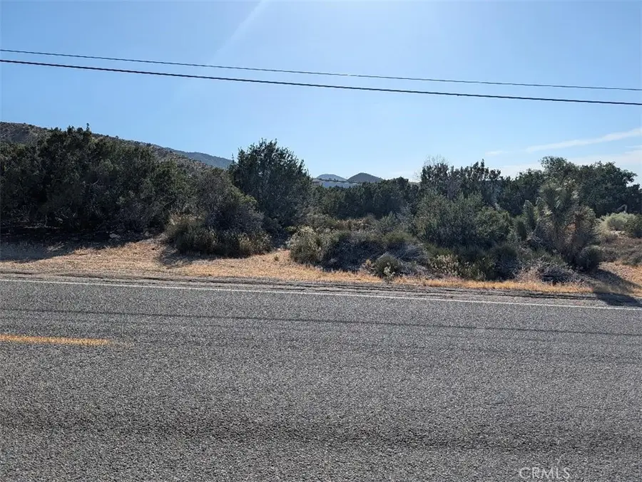 8 Mountain Road, Pinon Hills, CA 92372 - #3