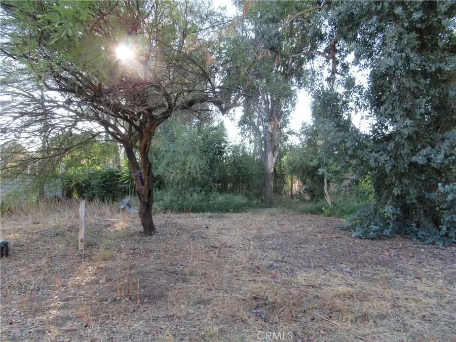 22114 Rae Drive, Nuevo, CA 92567 - #3