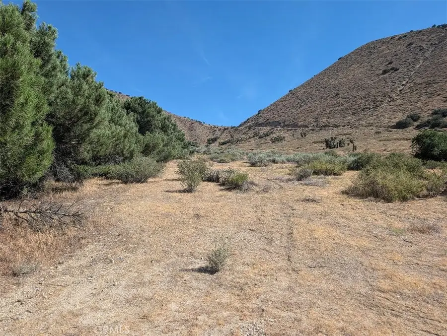 12 Paramount, Phelan, CA 92371 - #3