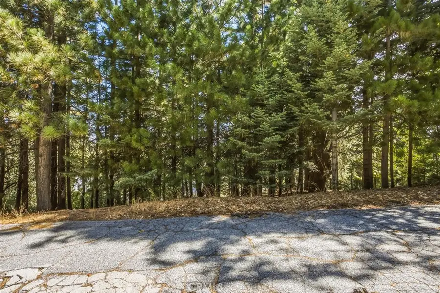 301 Fairway, Lake Arrowhead, CA 92352 - #2