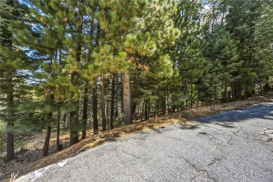 301 Fairway, Lake Arrowhead, CA 92352 - #3