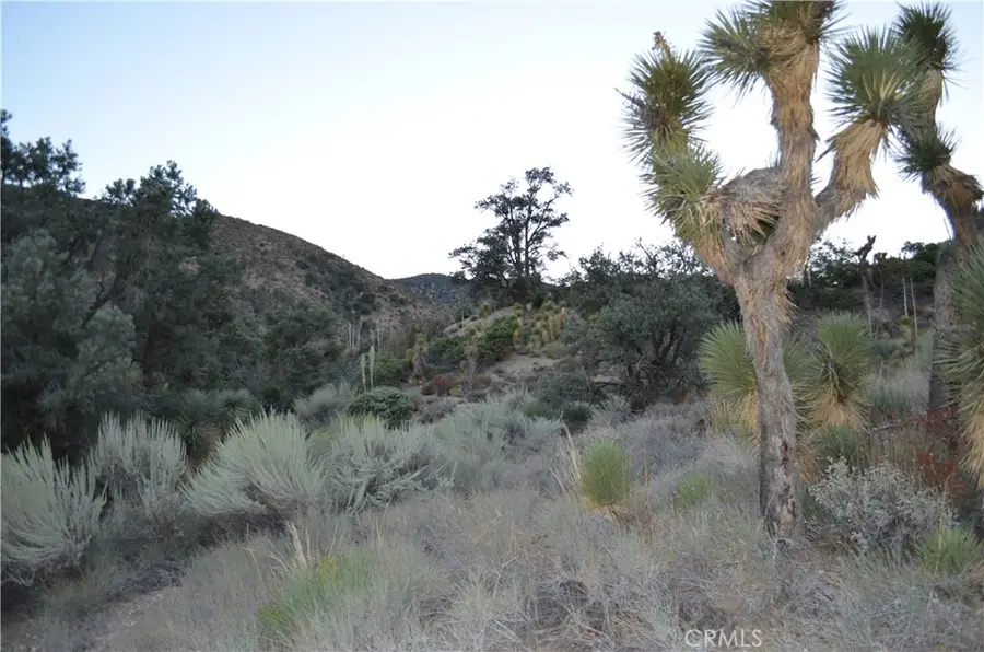 0 Verde, Pinon Hills, CA 92372 - #3