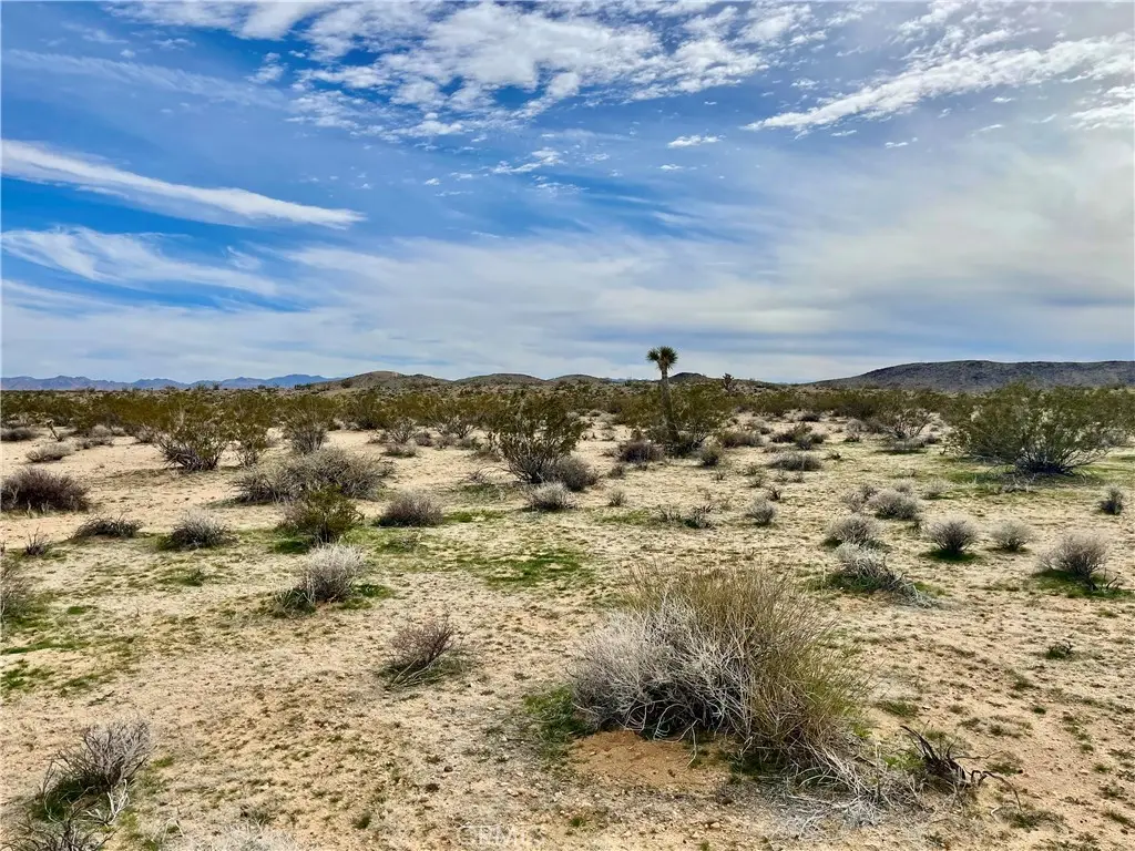 0 Willies Way, Twentynine Palms Yucca Valley, CA 92285 - #1