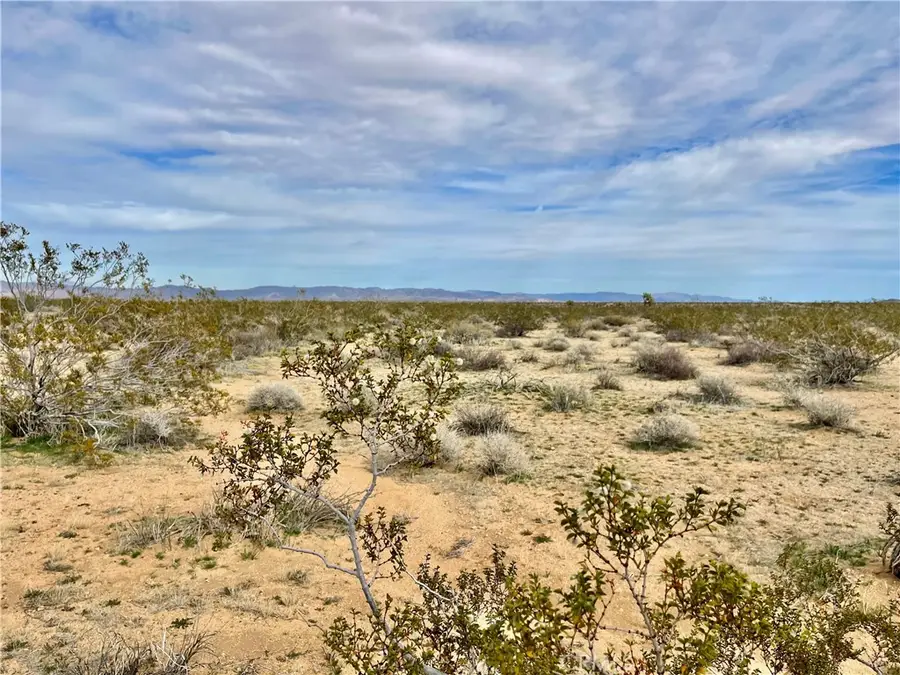 0 Willies Way, Twentynine Palms Yucca Valley, CA 92285 - #3
