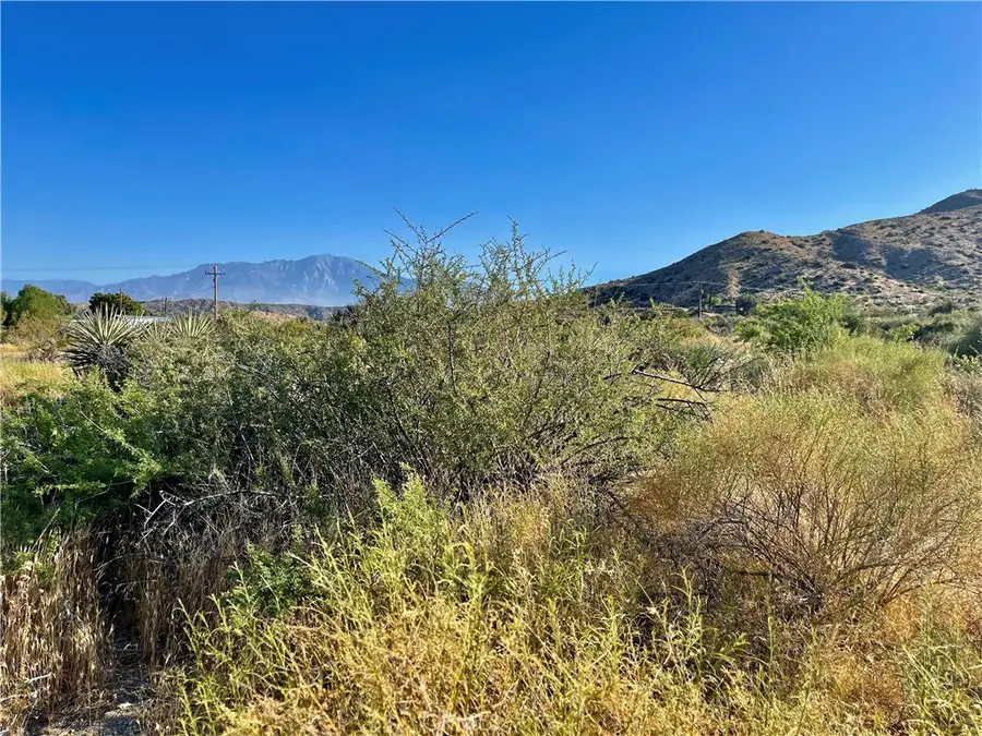 49200 Old Mill Road, Morongo Valley, CA 92256 - #2