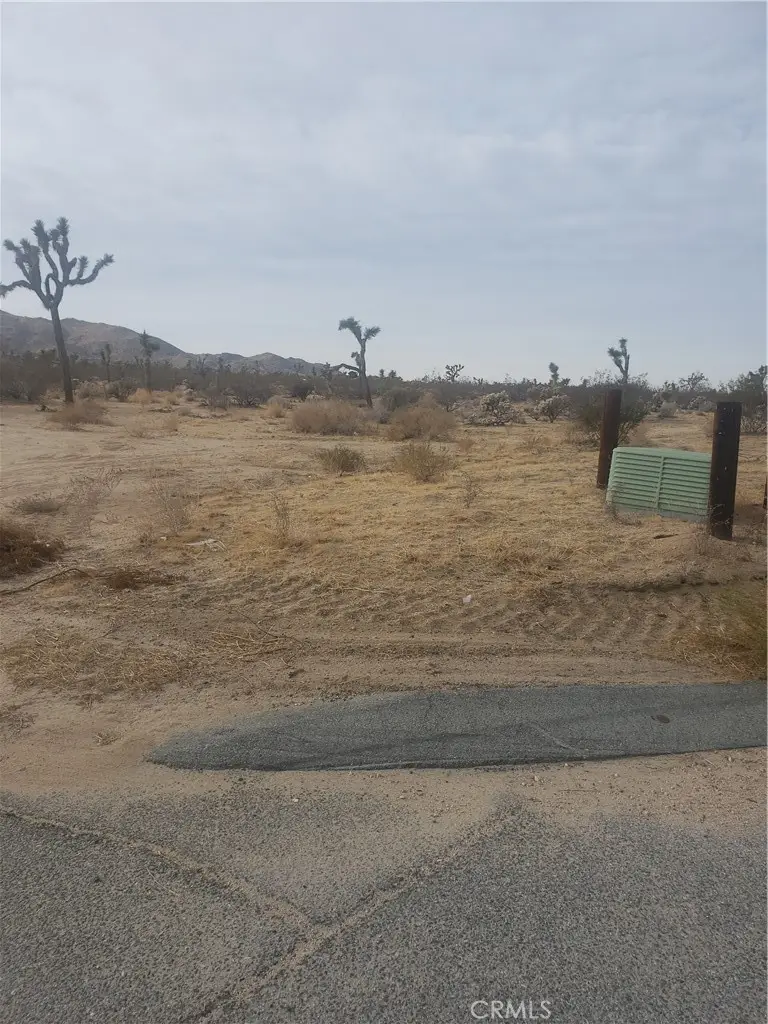 29 Palms, Joshua Tree, CA 92252 - Image #1