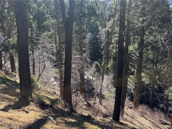 0 Sunderland Court, Lake Arrowhead, CA 92352