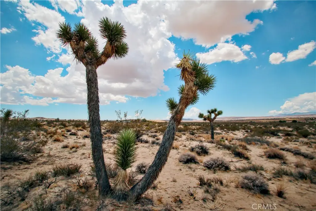 0 Easton Road, Landers, CA 92285 - #1