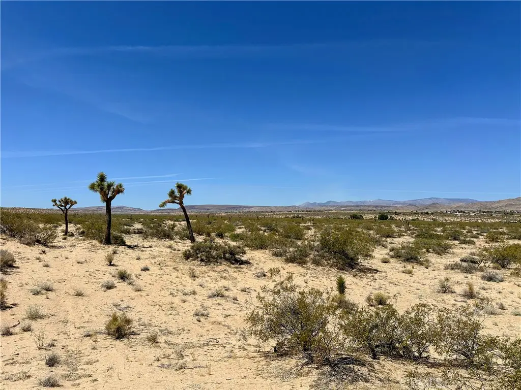 0 Amargo Road, Landers, CA 92285 - #1