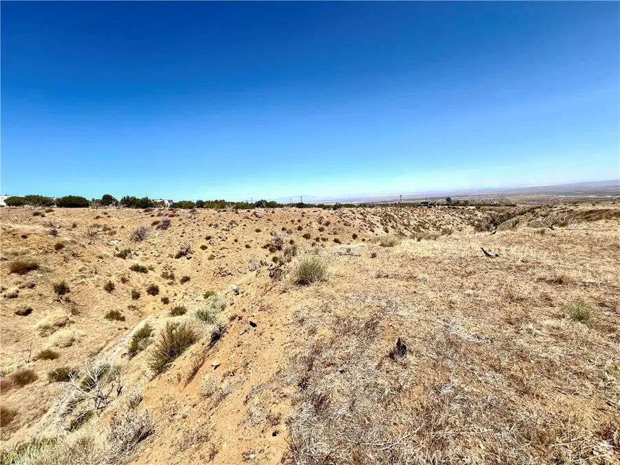 113 Juniper Mesa Road, Pearblossom, CA 93543 - #2