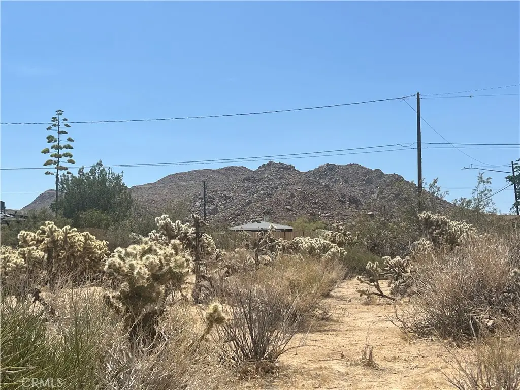 61891 El Reposo Circle, Joshua Tree, CA 92252 - #1