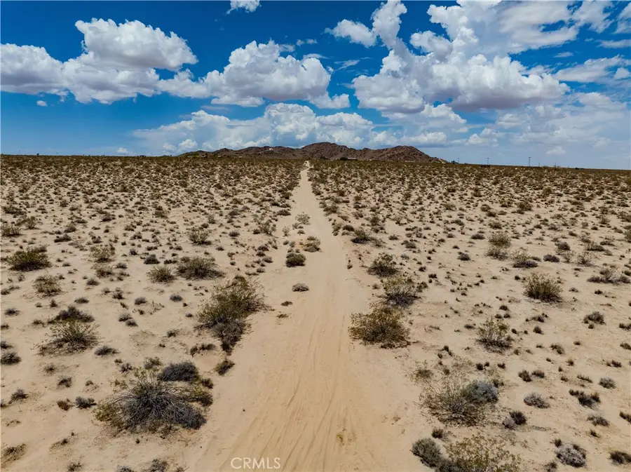 63840 Desert Lily Street, Joshua Tree, CA 92252 - #2