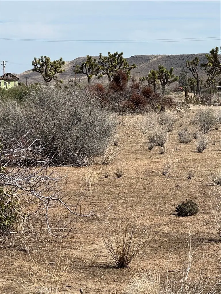 0 Minna Gombell, Pioneertown, CA 92268 - #3