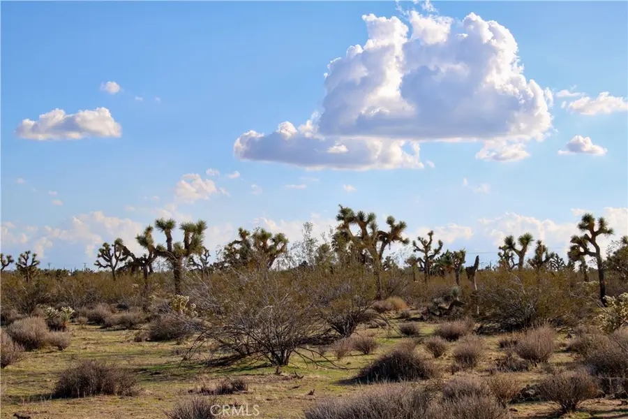 11 El Dorado Avenue, Yucca Valley, CA 92284 - #2