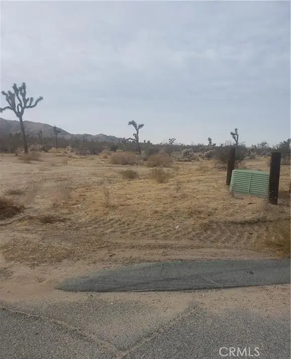 29 Palms, Joshua Tree, CA 92252 - #1