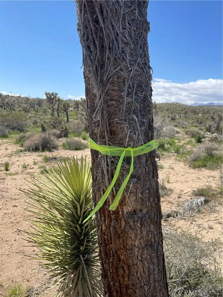 57300 Sunway, Yucca Valley, CA 92284 - #3