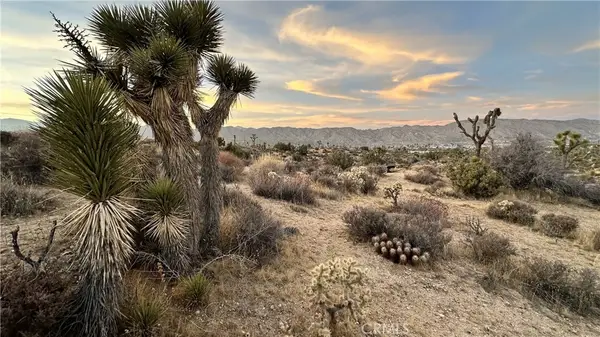 55370 Bunny Road, Yucca Valley, CA 92284