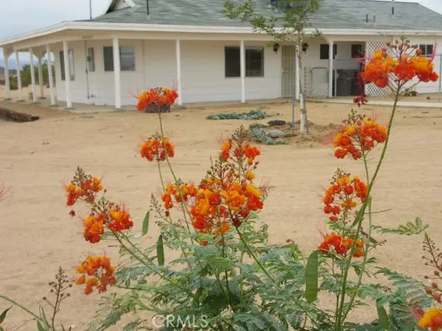 62323 Mars Drive, Joshua Tree, CA 92252 - #1