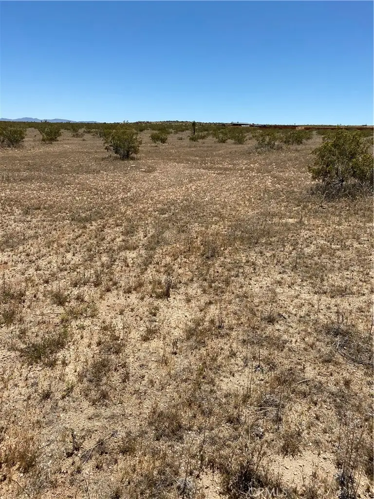 0 Fetlock, Landers, CA 92285 - #2