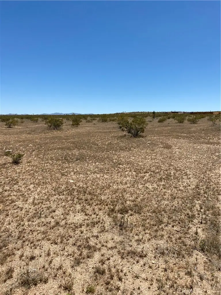 0 Fetlock, Landers, CA 92285 - #3