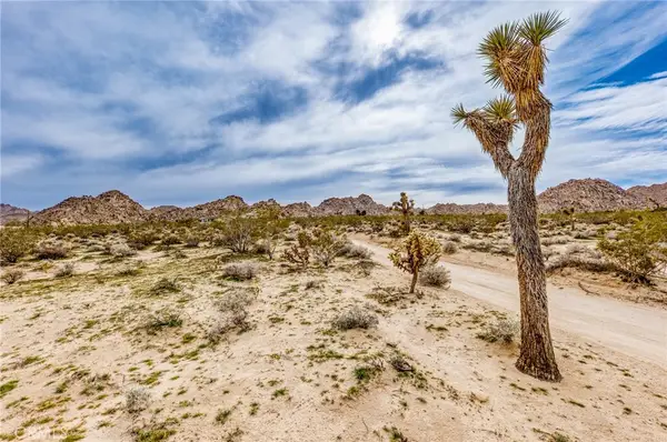 130 Rd Hollinger, Joshua Tree, CA 92252
