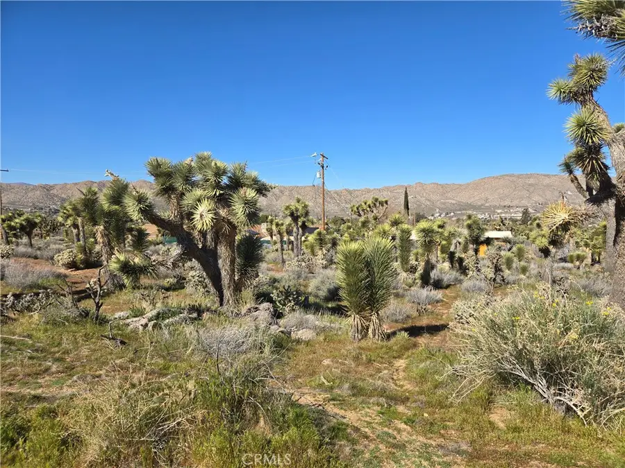 55000 Bunny Road, Yucca Valley, CA 92284 - #2