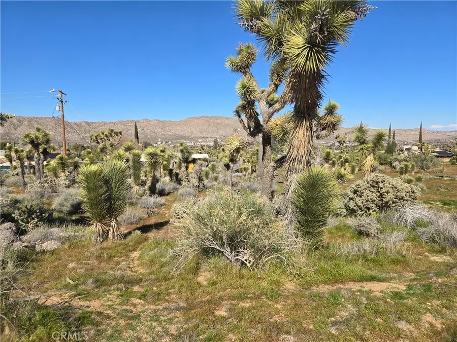 55000 Bunny Road, Yucca Valley, CA 92284 - #3